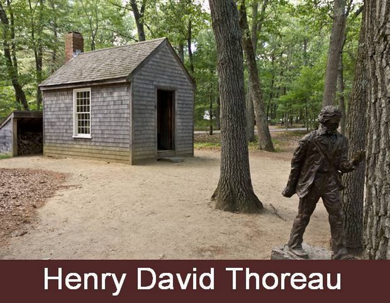 Henry David Thoreau Shed