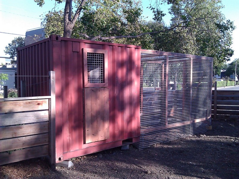 Shipping Container Chicken Coop