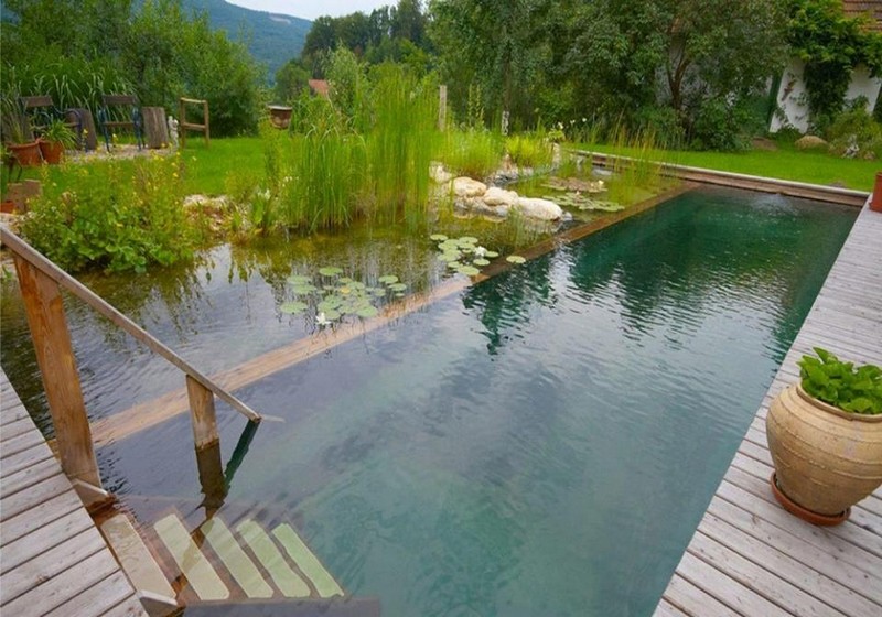A natural swimming pond is a thing of rare beauty and practicality. This is just one of the examples that might inspire you.
