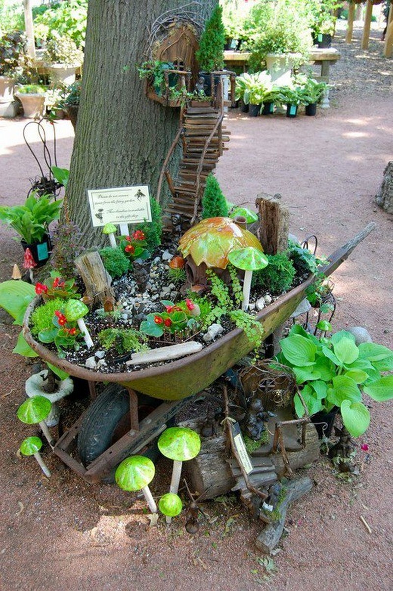 Fairy Gardens