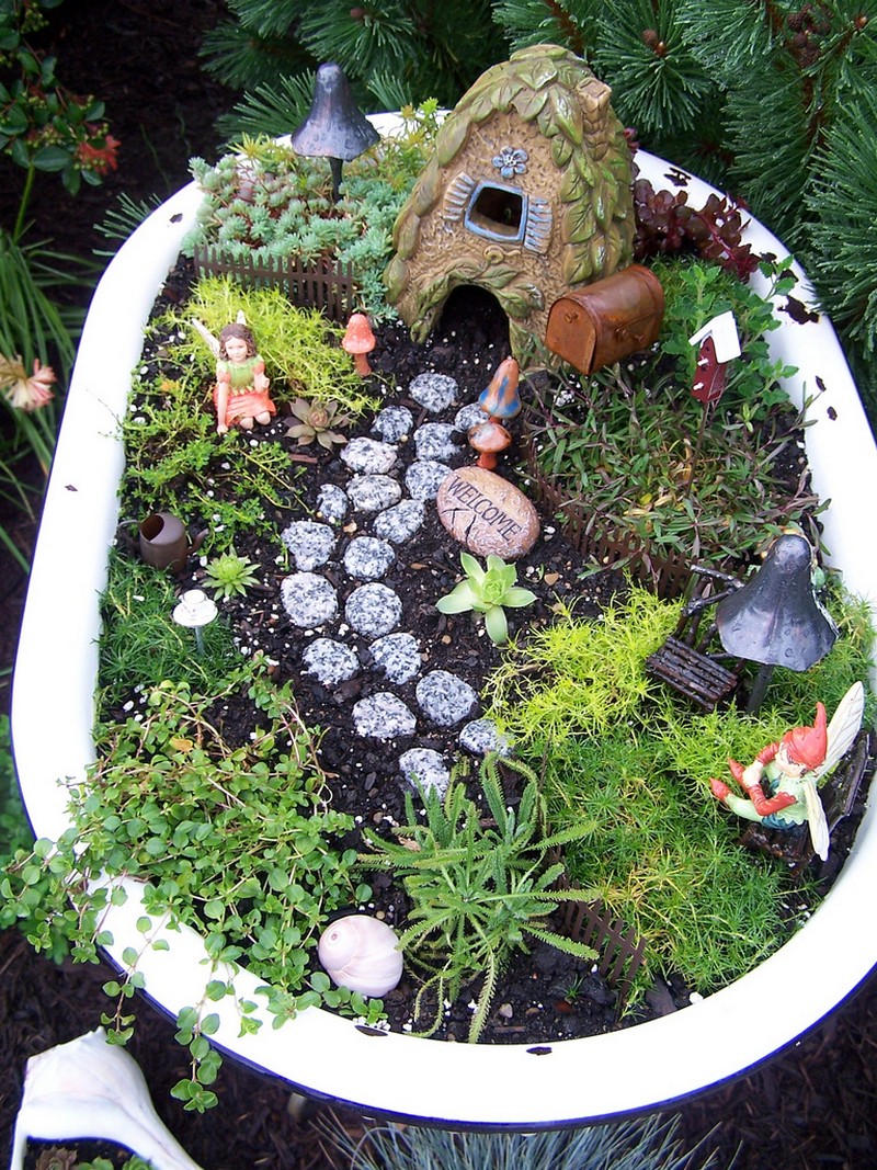 Fairy Gardens