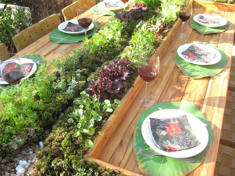 Herb Garden Ideas