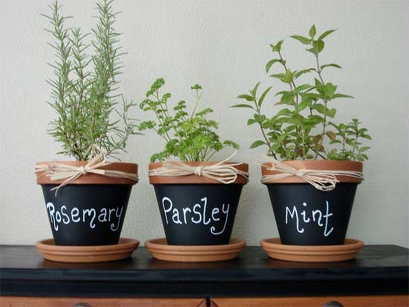 Chalkboard Clay Pots - The Robin's Nest