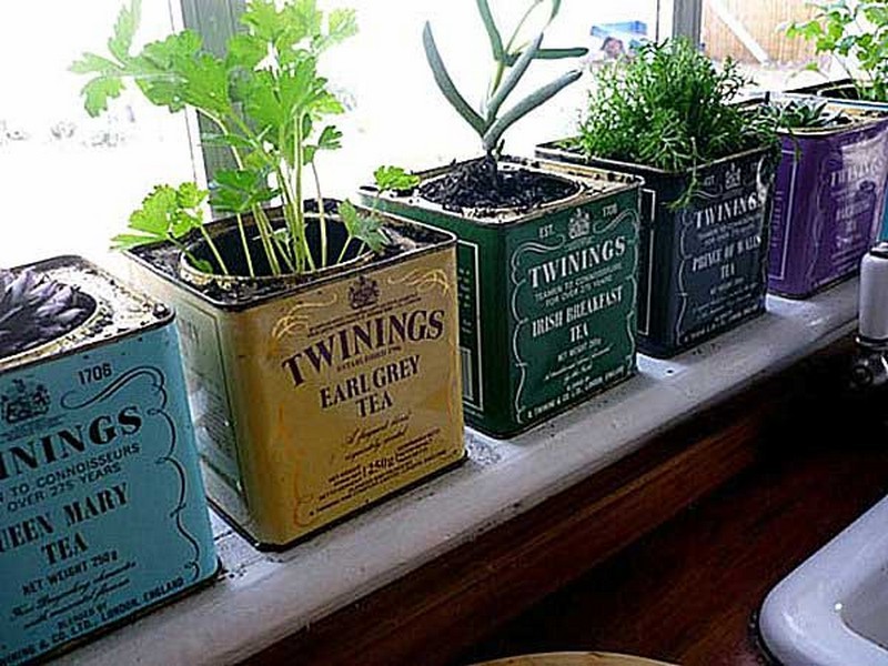 Twinings Vintage Tea Tins - The Micro Gardener