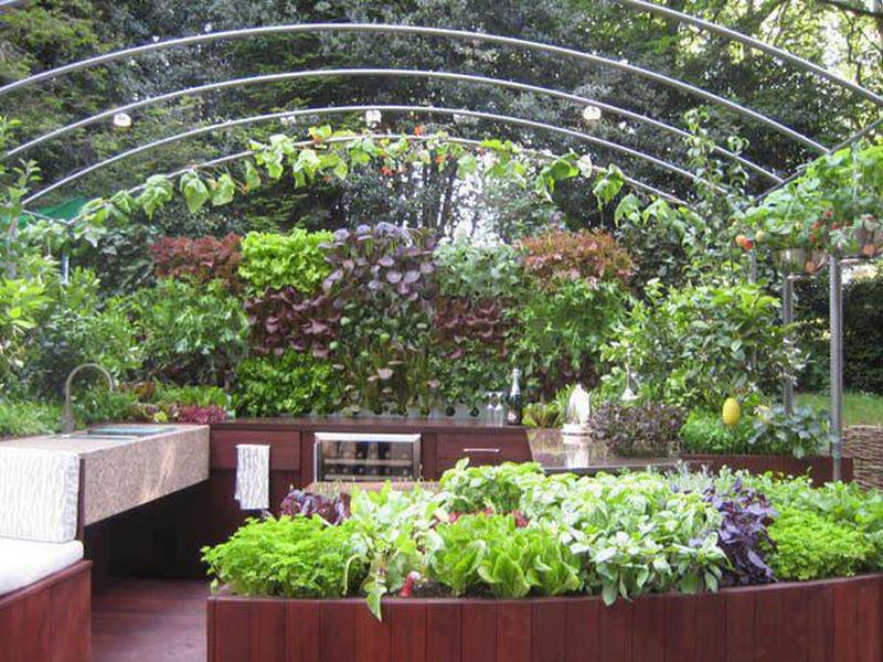 An outdoor kitchen with fresh ingredients within arms reach!