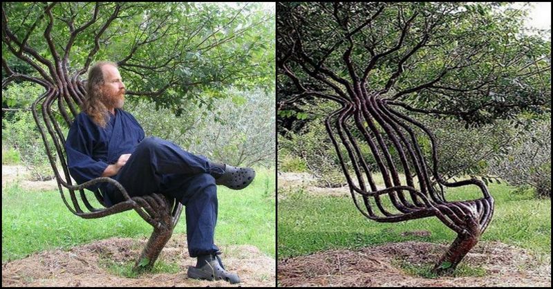 Pooktre Tree Chair