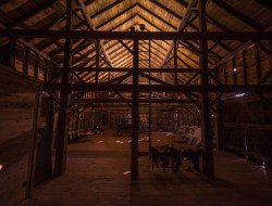 Cooke Barn - Heritage Barns