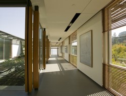 Tiburon House - Andrea Ponsi Architecture