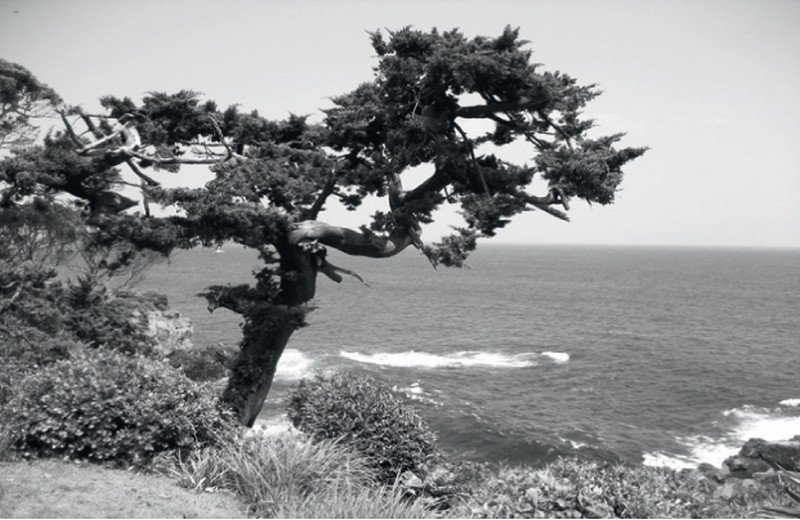 Wall House - Ocean View as Seen from the Site