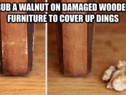 Rub a walnut on damaged wooden furniture to cover up dings.