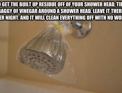 To get the built up residue off of your shower head, tie a bag of vinegar around a shower head. Leave it there over night, and it will clean everything off with no work.