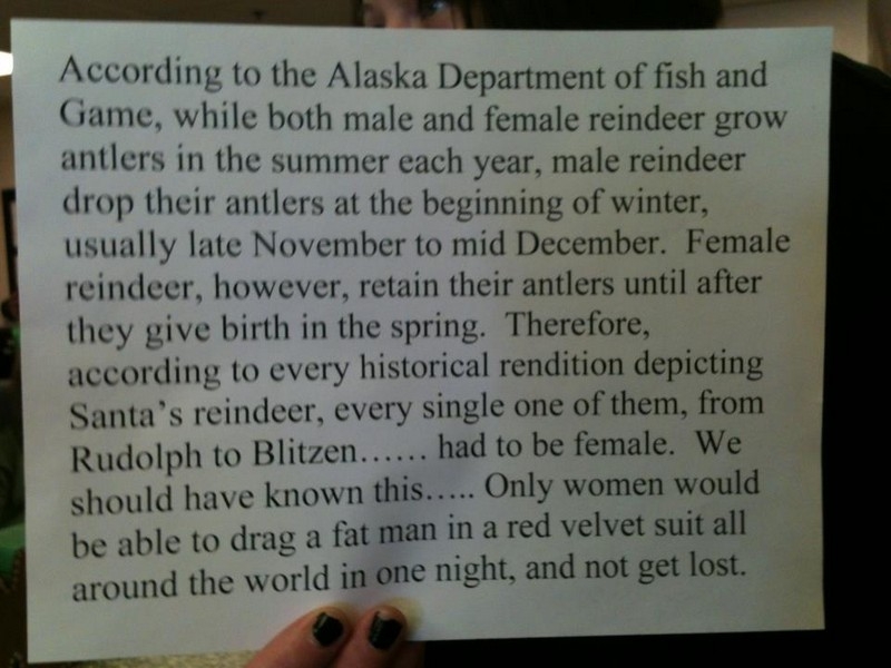 Story About Reindeer