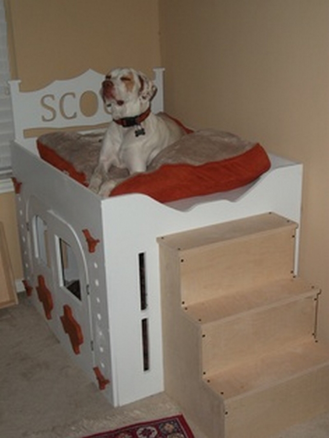 Dog House with Viewing Deck