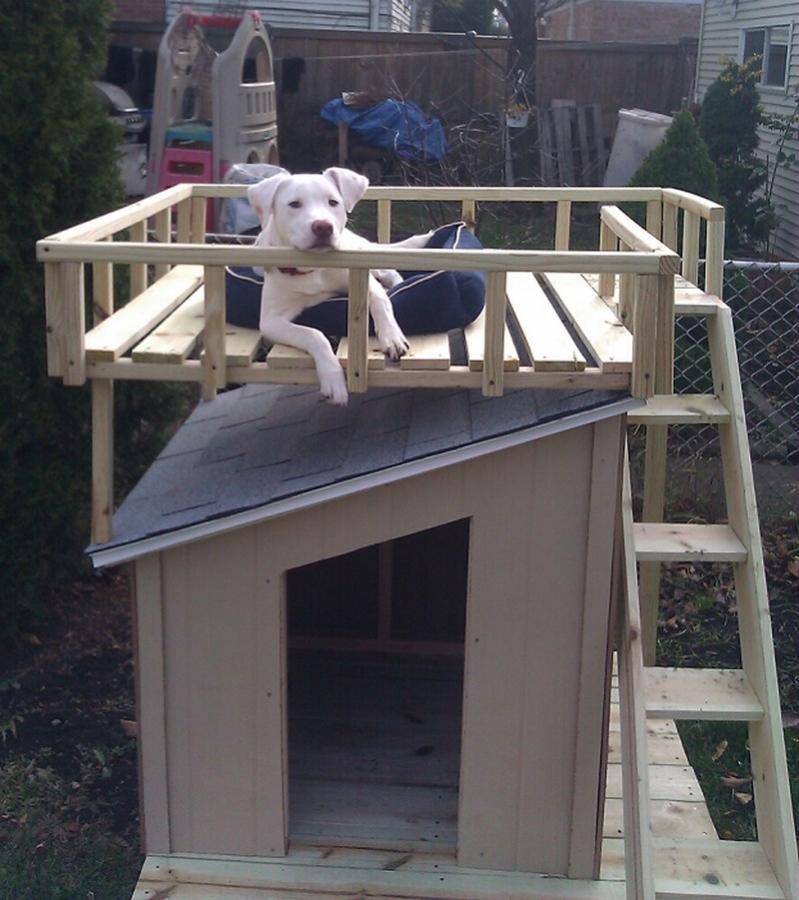 Dog House with Viewing Deck - OBN members can get free plans to this