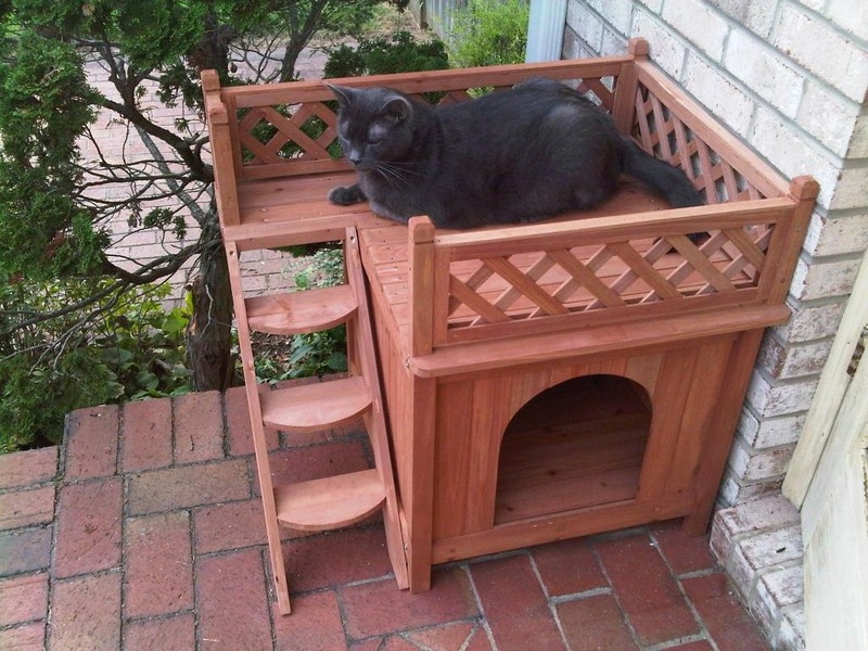 OK - a cat house with viewing deck!