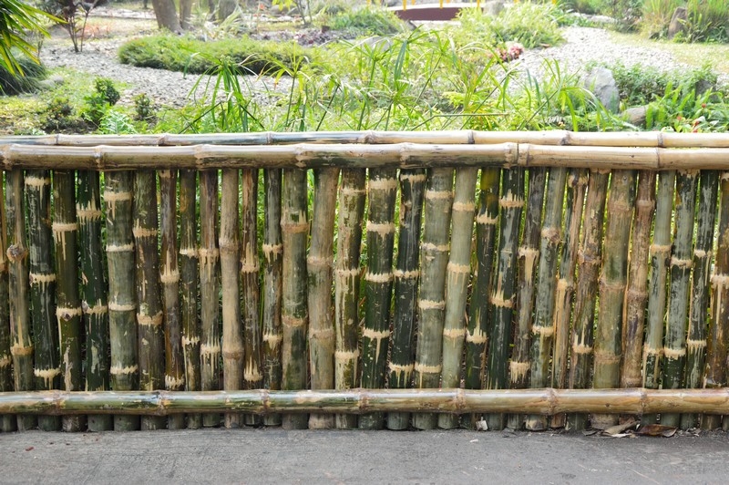 Bamboo Fence Design