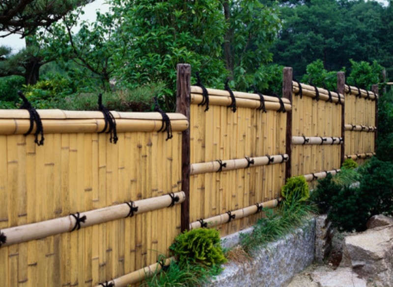 Bamboo Privacy Fence - Buzzle