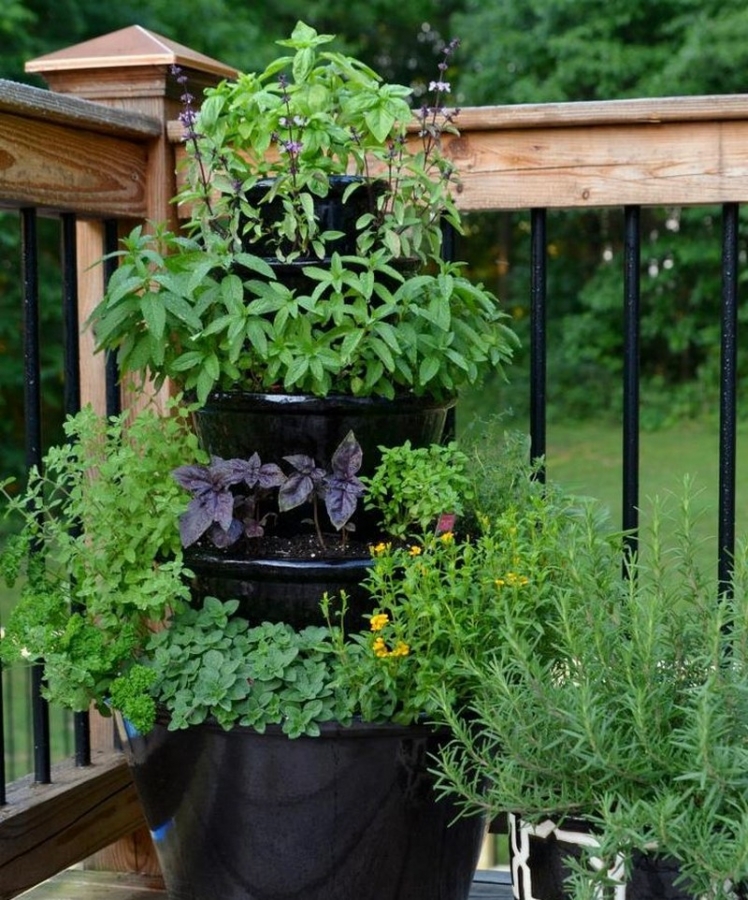 Stacked Pots for Herbs