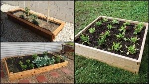 Great DIY Raised Garden Beds Ideas - 2 Effortless Ways! - The Owner ...