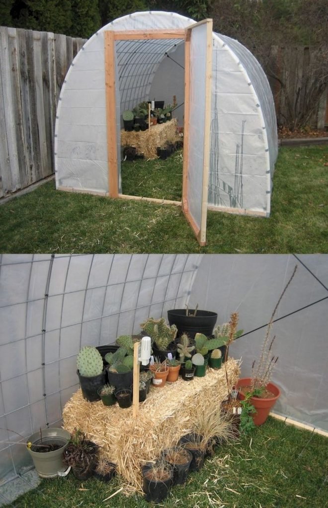 DIY Greenhouse