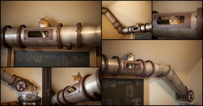 Home Office Cat Transit System