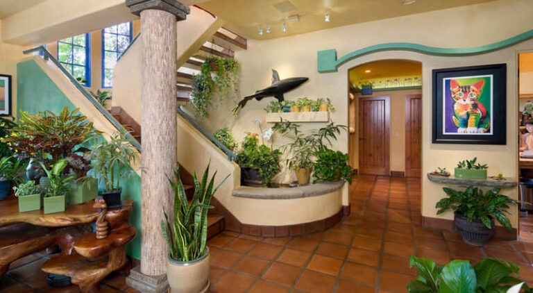 A paradise for pets