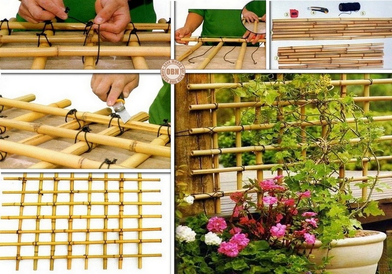 DIY Bamboo Trellis - The Owner-Builder Network