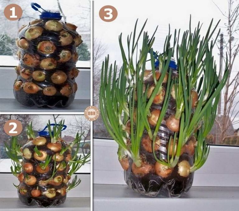 diy vertical onion planter
