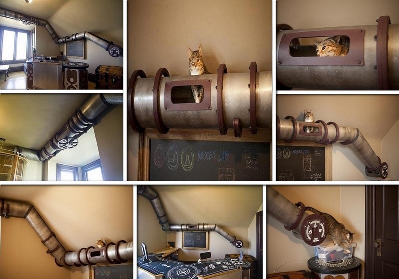 Great Home Office Cat Transit System