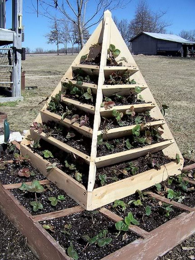 Strawberry Pyramid Planter Examples