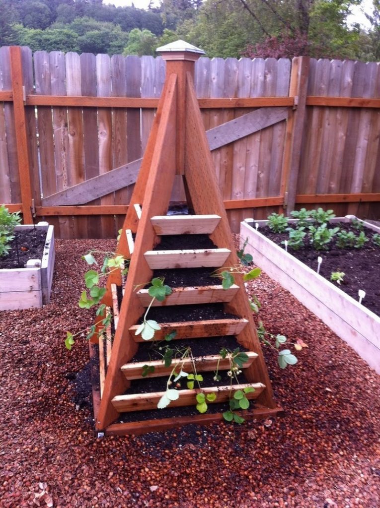 Strawberry Pyramid Planter Examples