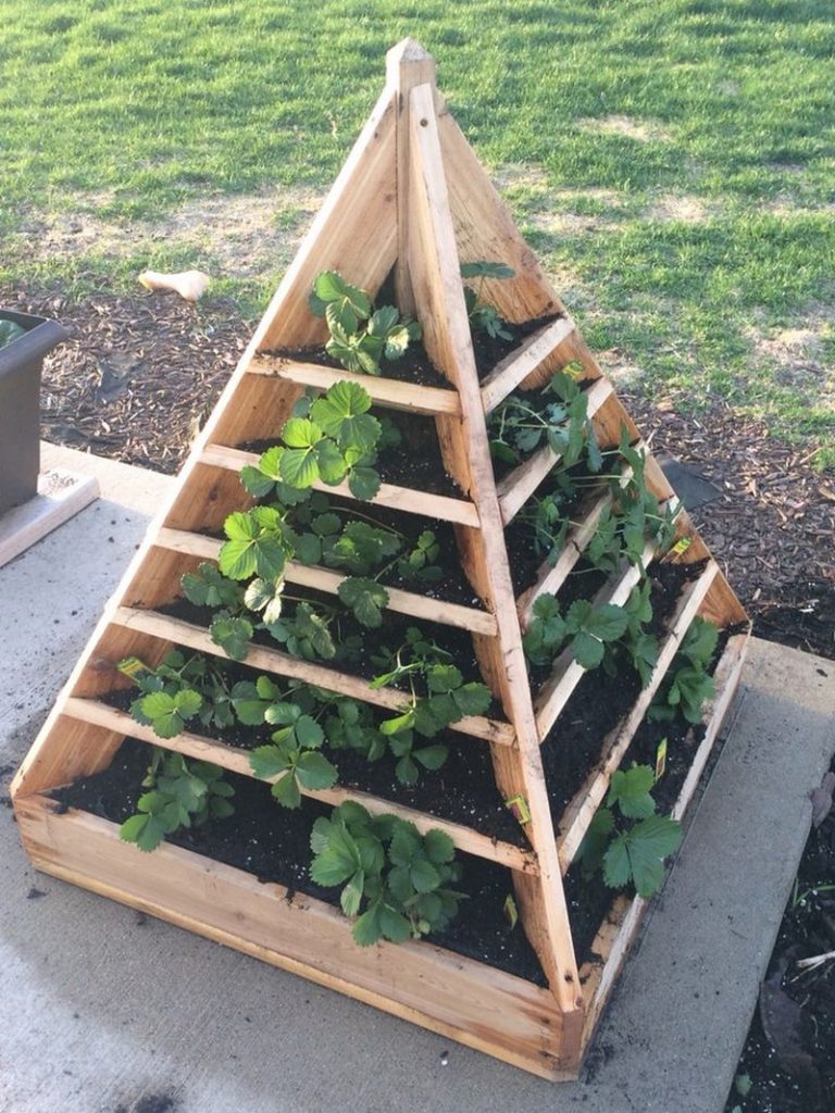 Strawberry Pyramid Planter Examples