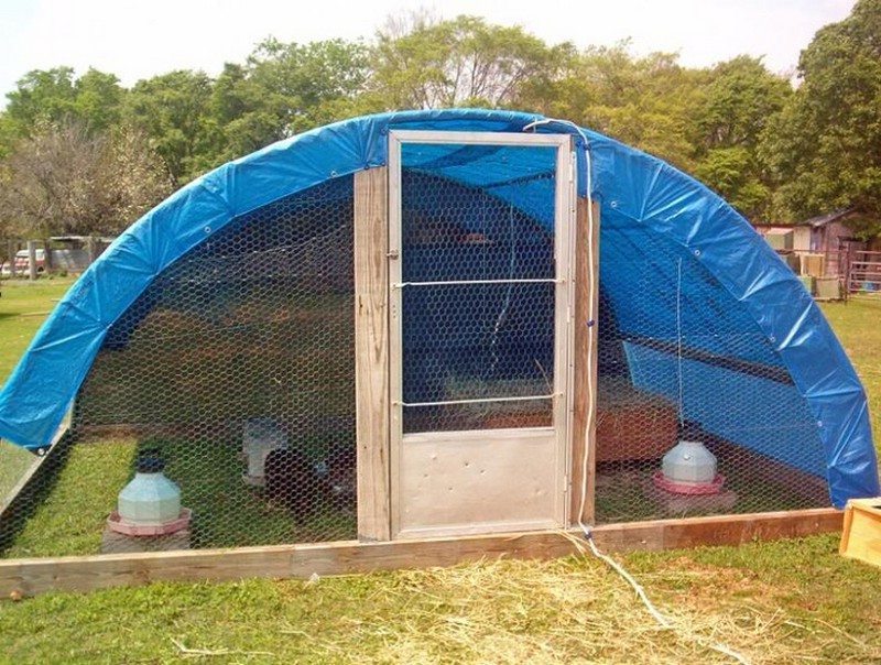 Trampoline Chicken Coop