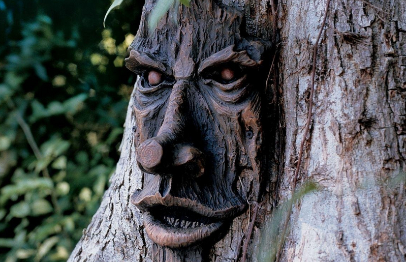 Tree Spirits In Backyard Exploring 7 Amazing Benefits   Treespirit 