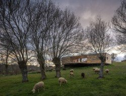 Casa B - dressed in yellow - Segovia Spain