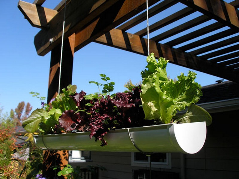 DIY Hanging Gutter Garden