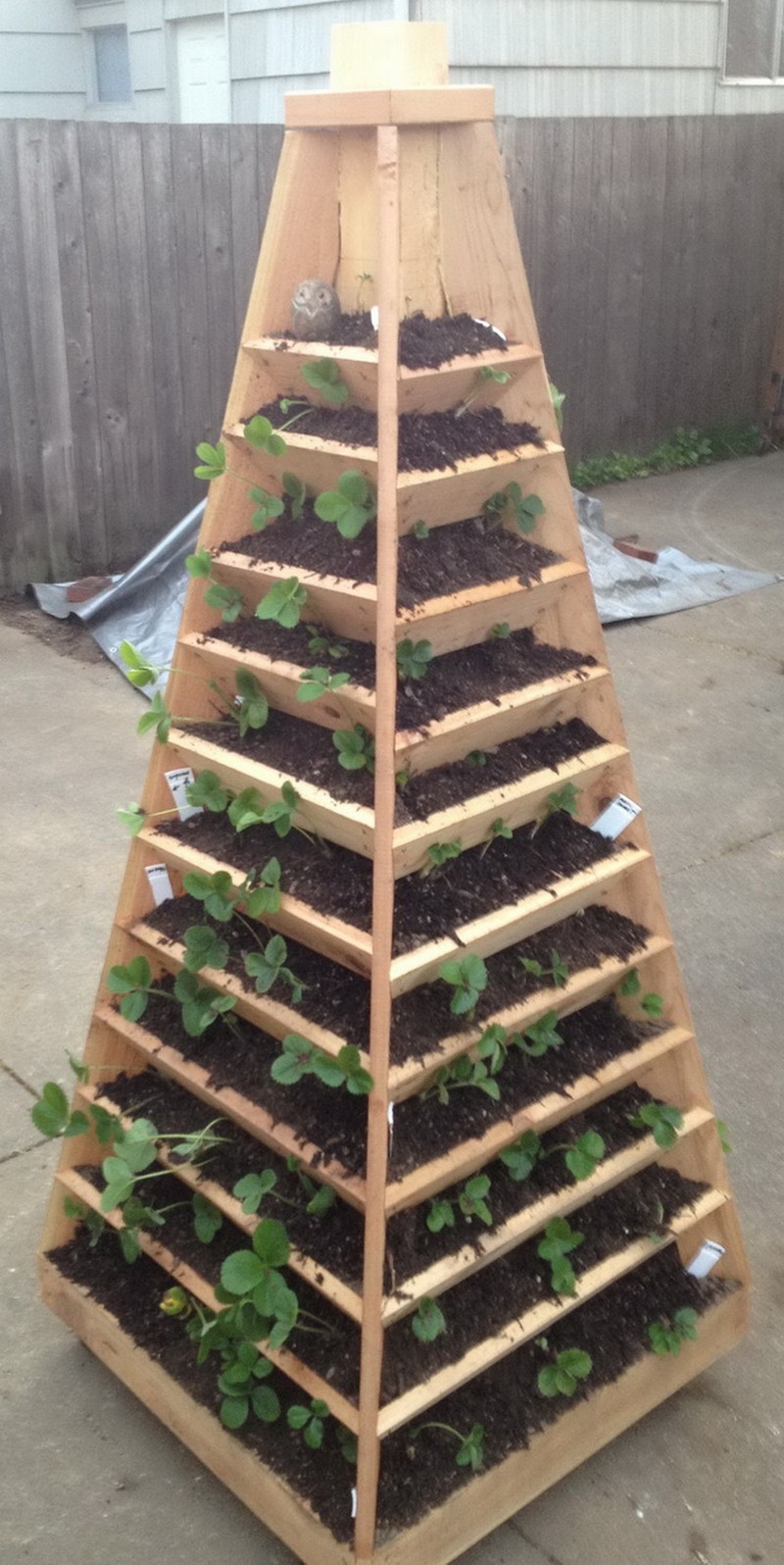 DIY Strawberry Pyramid