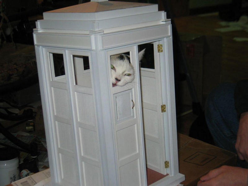 DIY Tardis Cat Fort