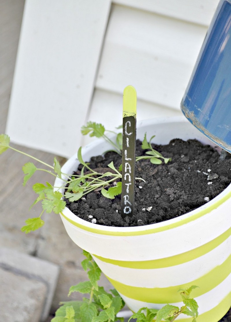 DIY Topsy-Turvy Herb Garden