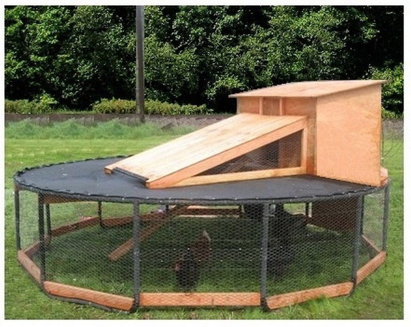 DIY Trampoline Chicken Coop