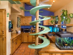 A green oasis for cats - for climbing up or sliding down?