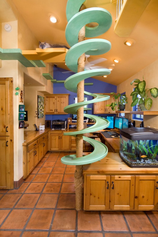 A green oasis for cats - for climbing up or sliding down?