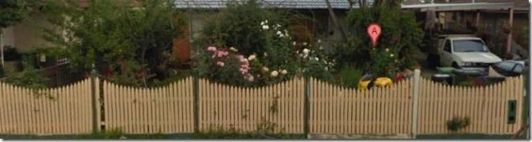 Once a garden but rapidly becoming a jungle...