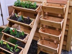 Gardening In Wooden Box Vertical