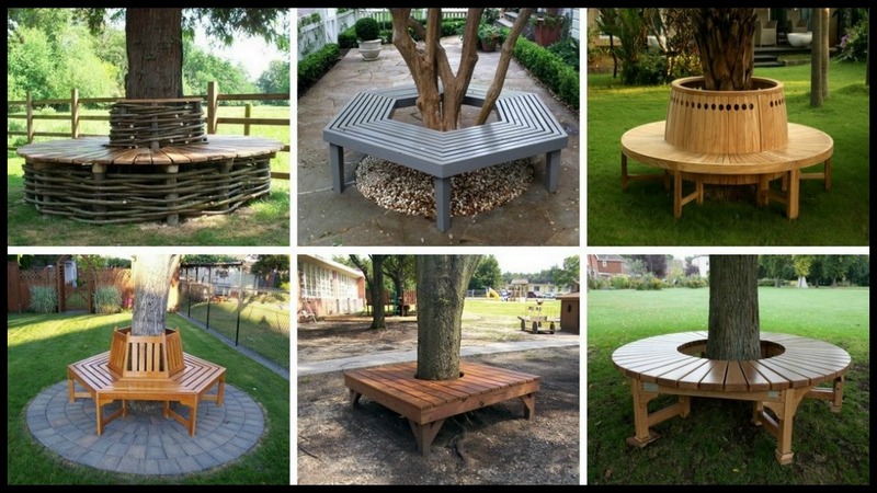 Bench Around A Tree – The Owner Builder Network