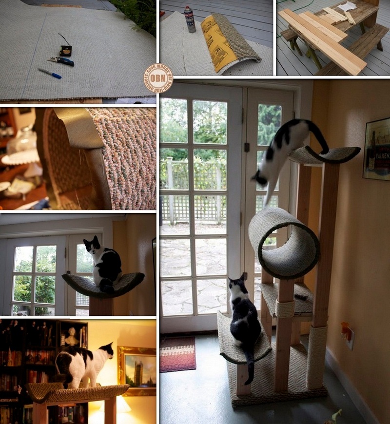 DIY Cat Tower - Affordable Project for Your Furry Friend