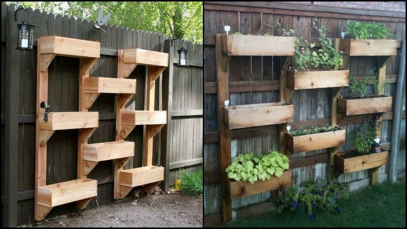 Gardening In Wooden Box Vertical