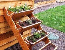 Gardening In Wooden Box Vertical