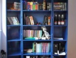 DIY TARDIS Bookshelf