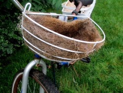 DIY Bicycle Planter